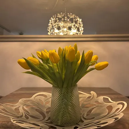 Apartment Trunk Direkt An Den Weinbergen, Parkplatz, Terrasse Mit Grill Und Lounge *