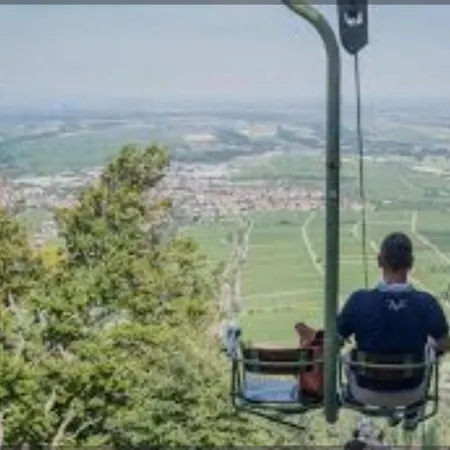 Trunk Direkt An Den Weinbergen, Parkplatz, Terrasse Mit Grill Und Lounge Appartement Roschbach