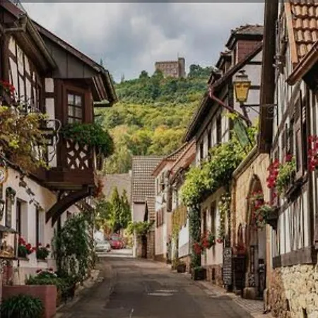 Appartement Trunk Direkt An Den Weinbergen, Parkplatz, Terrasse Mit Grill Und Lounge Roschbach