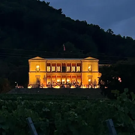 Trunk, Kuehl, Direkt An Den Weinbergen, Parkplatz, Terrasse Mit Grill Und Lounge Daire