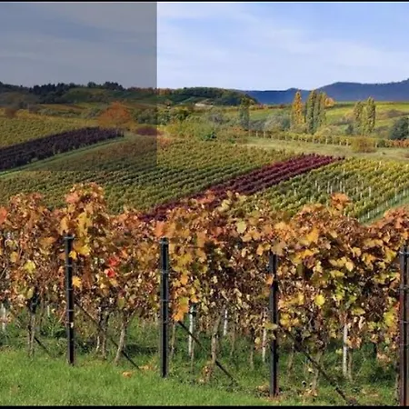 Apartament Trunk Direkt An Den Weinbergen, Parkplatz, Terrasse Mit Grill Und Lounge