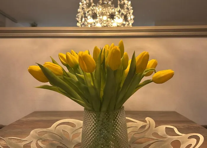 Apartment Trunk Direkt An Den Weinbergen, Parkplatz, Terrasse Mit Grill Und Lounge *