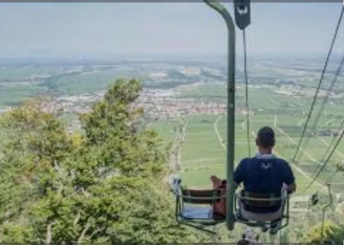 Trunk Direkt An Den Weinbergen, Parkplatz, Terrasse Mit Grill Und Lounge Apartment Roschbach